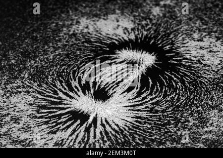 Magnetic field lines concept with bar magnet attraction and repulsion iron particles along lines of force Stock Photo