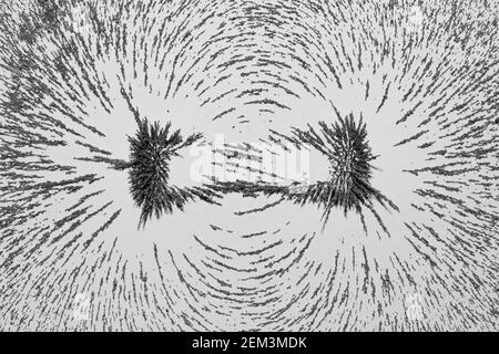 Magnetic field lines concept with bar magnet attraction and repulsion iron particles along lines of force Stock Photo