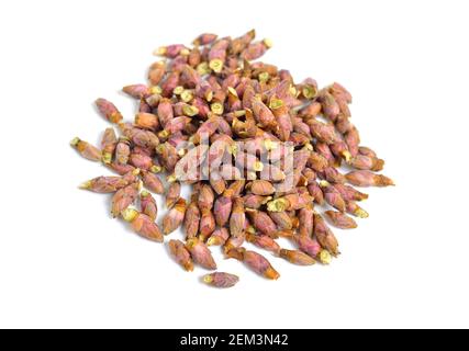 Black currant buds. Isolated on white background Stock Photo