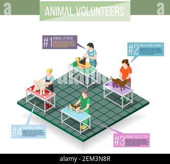 Women volunteers and animals during inoculations, grooming, veterinary inspection, hygiene procedures, isometric infographics vector illustration Stock Vector
