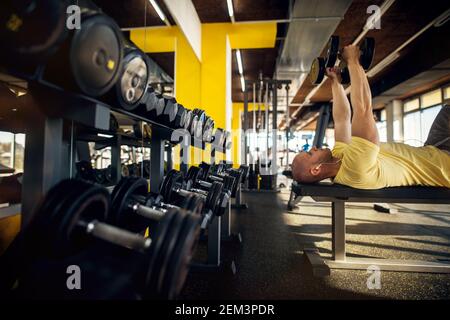 Side view of strong motivated and focused muscular bald bodybuilder man doing chest exercise while lying on the bench with dumbbells and row of dumbbe Stock Photo