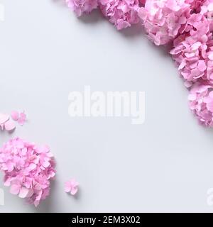Square frame with pink hydrangea flowers on grey background. Mother's day greeting card with copy space. Top view. Stock Photo