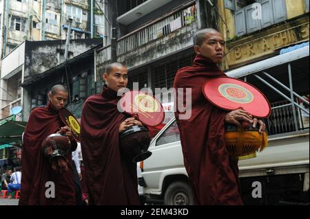 27.07.2013, Yangon, Myanmar, Asia - A group of Buddhist monks in their saffron robes collects alms on their rounds through the former capital city. Stock Photo