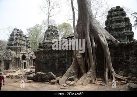 The Banteay Kdei temple, which is overrun by huge trees, in the Angkor temple complex near Siem Reap in Cambodia. From a series of travel photos taken Stock Photo