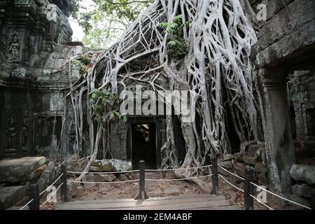 The Banteay Kdei temple, which is overrun by huge trees and was featured in the Indiana Jones and the Temple of Doom film, in the Angkor temple comple Stock Photo