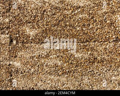 Detail of a concrete wall panel constructed with exposed aggregate Stock Photo