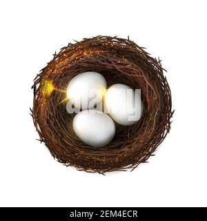 Bird nest with eggs, made of branches isolated. Vector glittering birds nest in realistic design, farming and agriculture. Chicken eggs, poultry breed Stock Vector