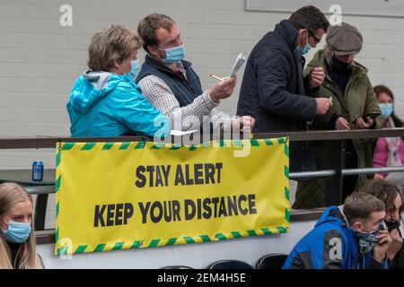 Farmers attending livestock sale during the Covid-19 Pandemic, wearing face mask protection to help prevent the spread of the virus. UK Stock Photo