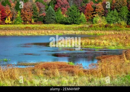 Upper Klondike Pond in Pennsylvania's Pocono Mountains was a former impoundment lake created for the use of commercial ice harvests. The dam has now b Stock Photo