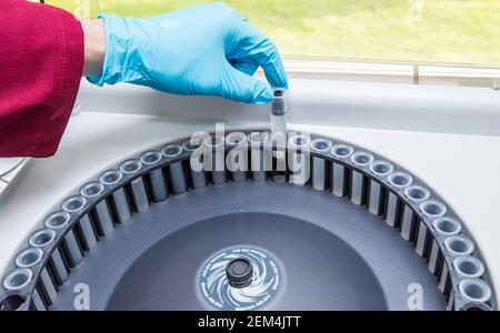 A worker analyzing a sample in a laboratory Stock Photo