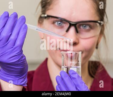 A worker wearing a lab coat, safety glasses and gloves analyzing a sample in a laboratory Stock Photo