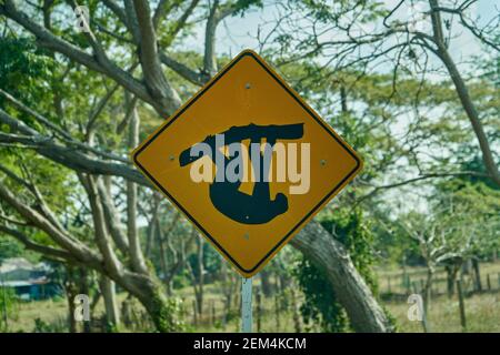 black and yellow road sign. traffic sign showing a sloth Stock Photo