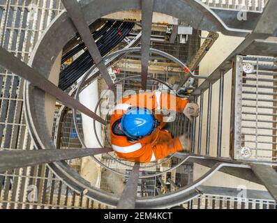 A worker wearing a boiler suit, hard hat, and gloves descending a vertical ladder with safety cage Stock Photo