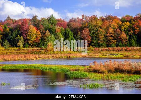 Upper Klondike Pond in Pennsylvania's Pocono Mountains was a former impoundment lake created for the use of commercial ice harvests. The dam has now b Stock Photo