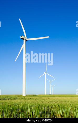 Wind farm, Colorado USA Stock Photo