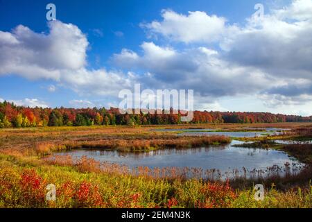 Upper Klondike Pond in Pennsylvania's Pocono Mountains was a former impoundment lake created for the use of commercial ice harvests. The dam has now b Stock Photo