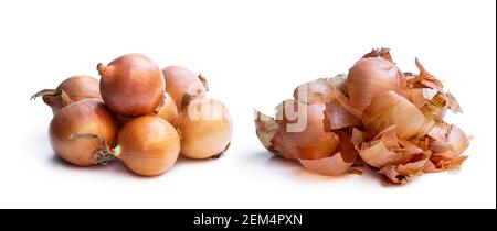 Fresh  brown onion and peel isolated on white Stock Photo
