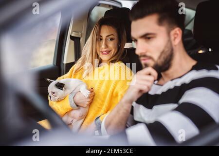 Adorable smiling modern businesswoman holding a small cute dog and looking at a driver in a car. Stock Photo