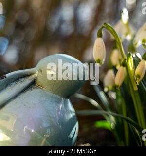 Easter bunny. Snow-white blue-eyed rabbit Stock Photo - Alamy