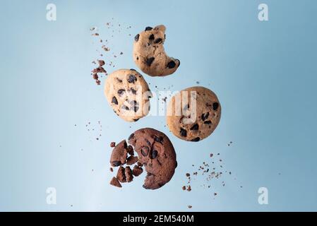 Four chocolate chip cookies flying on a blue background, close up, copy space. Stock Photo