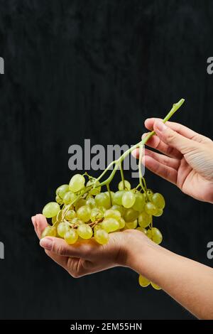 A bunch of white grapes in hand on black background Stock Photo