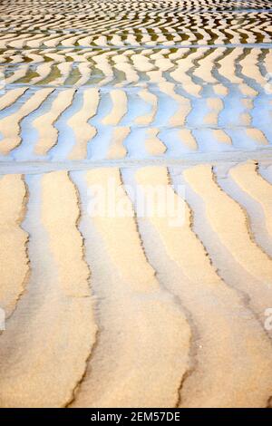 Sand ridges seen at low tide on the beach at Sennen Cove in Cornwall ...