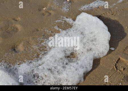 Sea foam at the waters edge on the beach Stock Photo