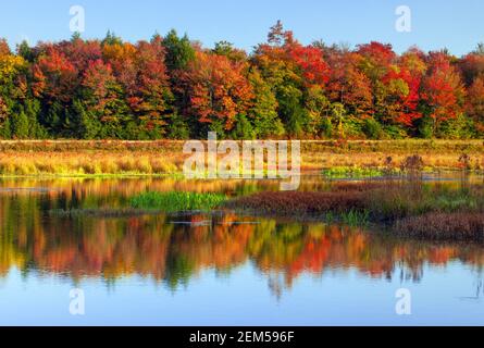 Upper Klondike Pond in Pennsylvania's Pocono Mountains was a former impoundment lake created for the use of commercial ice harvests. The dam has now b Stock Photo