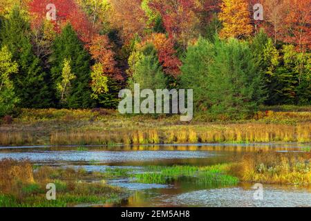 Upper Klondike Pond in Pennsylvania's Pocono Mountains was a former impoundment lake created for the use of commercial ice harvests. The dam has now b Stock Photo