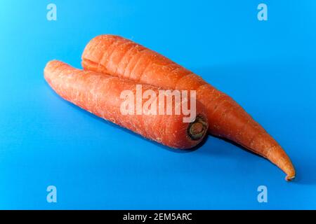 Healthy eating two carrots on bright colorful blue background Stock Photo