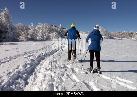 Senior couple nordic walking in winter, Snowshoes, European seniors training healthy lifestyle, winter walking poles, couple rear view Stock Photo