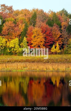 Upper Klondike Pond in Pennsylvania's Pocono Mountains was a former impoundment lake created for the use of commercial ice harvests. The dam has now b Stock Photo