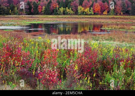 Upper Klondike Pond in Pennsylvania's Pocono Mountains was a former impoundment lake created for the use of commercial ice harvests. The dam has now b Stock Photo