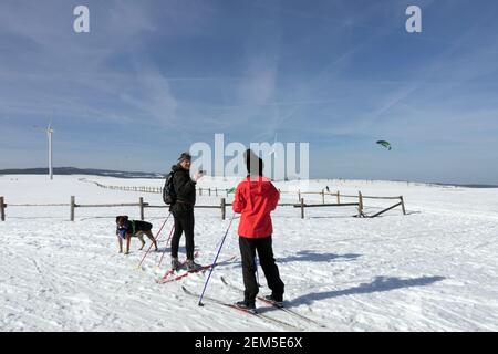 Winter sports lifestyle, senior couple skiers, man woman dog on cross-country ski trail in snowy landscape Stock Photo