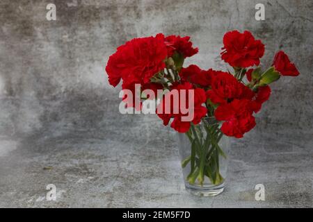 Red carnation flowers in glass vase on grey background. Stock Photo