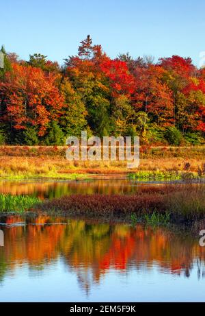 Upper Klondike Pond in Pennsylvania's Pocono Mountains was a former impoundment lake created for the use of commercial ice harvests. The dam has now b Stock Photo