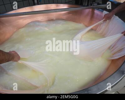 cooking and making cheese in factory Stock Photo