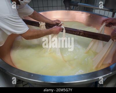 cooking and making cheese in factory Stock Photo