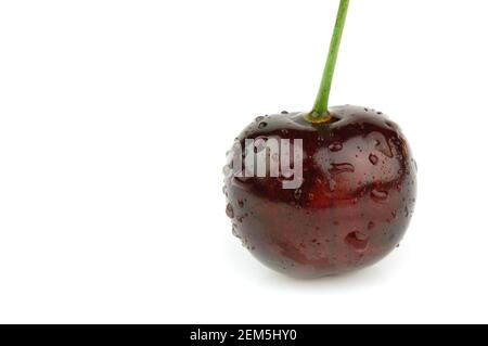 Fresh sweet cherry isolated on white background. Stock Photo