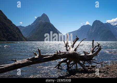 Mitre Peak reflecting on calm water surface in Milford Sound - Piopiotahi, Fiordland, Nez Zealand Stock Photo