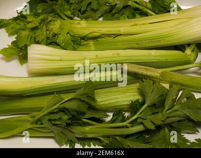 Fresh herbs isolated on white background. Celery stalk and parsley Stock Photo