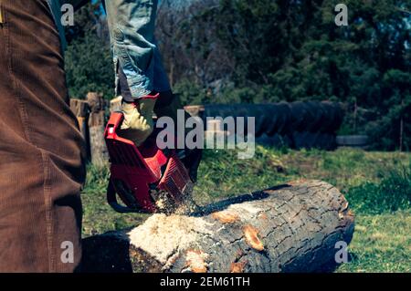 Man cutting logs with chainsaw in forest Stock Photo