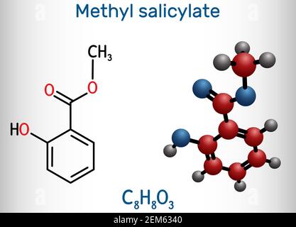 Methyl salicylate, wintergreen oil molecule. It is methyl ester of salicylic acid, flavouring agent, metabolite, insect attractant. Structural Stock Vector