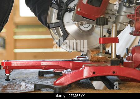 Carpenter man Using Circular Saw for cut wood sheet,job working tool,manufacture Stock Photo