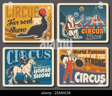 Trained circus monkey juggling balls or clubs vector isolated. Ape ...