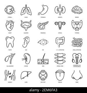 Human internal organs icon set in line style. Medical anatomy symbols collection isolated on white background. Vector illustration. Stock Vector