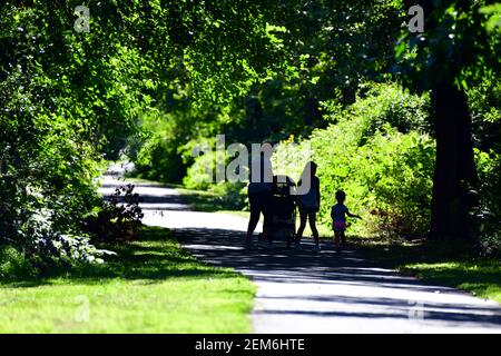 A mother with 2 daughters and a stroller enjoy a walk on a path in the woods Stock Photo