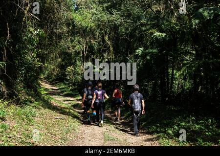 Hikers walking on the dirt path of Trilha das Cachoeiras (Waterfalls hiking trail) under tree shades inside Serra do Mar estate park, Cunha nucleus. Stock Photo