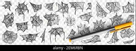 Spider web patterns doodle set. Collection of hand drawn silhouette of natural patterns of spider webs in corners on trees isolated on transparent background Stock Vector