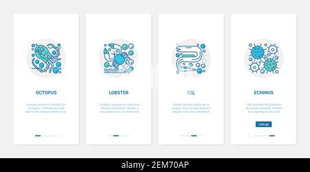 Sea fish cephalopod clam crustacean animals vector illustration. UX, UI onboarding mobile app page screen set with line sealife octopus lobster river sea or ocean eel, urchin echinus symbol collection Stock Vector
